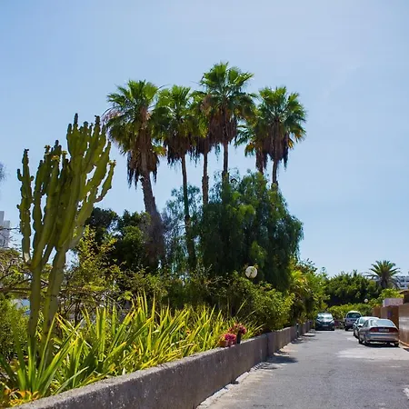 Calle Lanzarote 29c * Πλάγια ντελ Ινγκλές